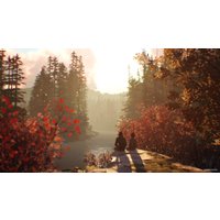  Life is Strange 2: Полное издание для PlayStation 4
