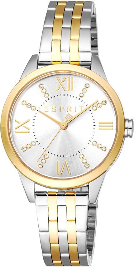 

Наручные часы Esprit ES1L259M6085