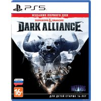  Dungeons & Dragons: Dark Alliance. Издание первого дня для PlayStation 5