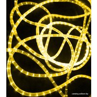 Дюралайт Rich Led 3-проводной RL-DL-3W-100-240-Y 13мм (желтый)