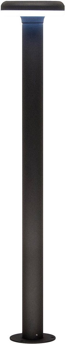 

Садовый светильник Citilux CLU01B