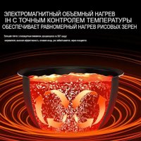 Рисоварка Xiaomi Mijia Induction Heating Rice Cooker 2 4L MFB2BM (с переходником на евровилку)