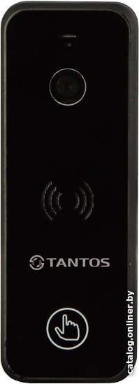Вызывная панель Tantos iPanel 2+ (черный)