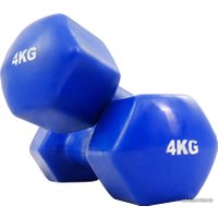 Набор гантелей Protrain TA-2103-4 2x4 кг