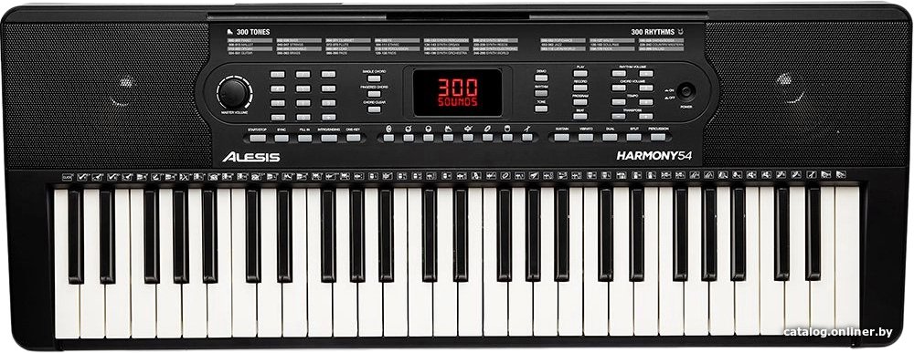 Синтезатор Alesis Harmony 54