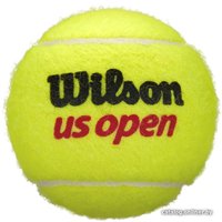 Набор теннисных мячей Wilson US Open WRT116200 (4 шт)