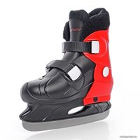 Коньки Tempish Fur Expanze boy 37-40