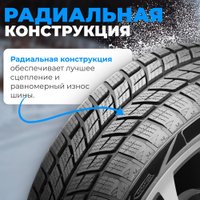Зимние шины Autogreen Snow Ranger AW09 235/55R20 102H