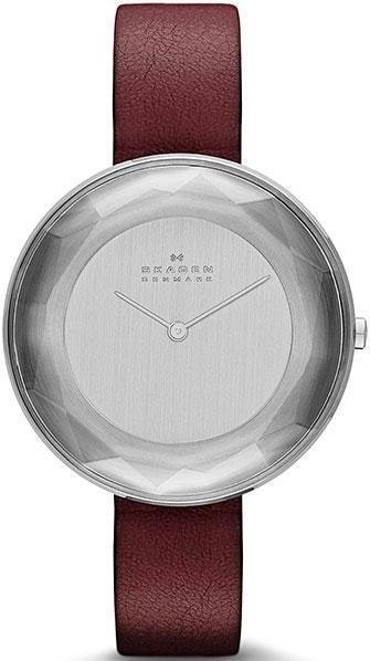 

Наручные часы Skagen SKW2273