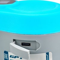 Аккумуляторный опрыскиватель GPT ZFB-2li