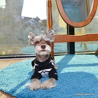 Футболка Pinkaholic Caspian NATA-TS7560-BK-L (черный)