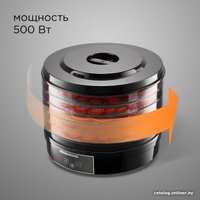 Сушилка для овощей и фруктов Redmond (Редмонд) FD1100