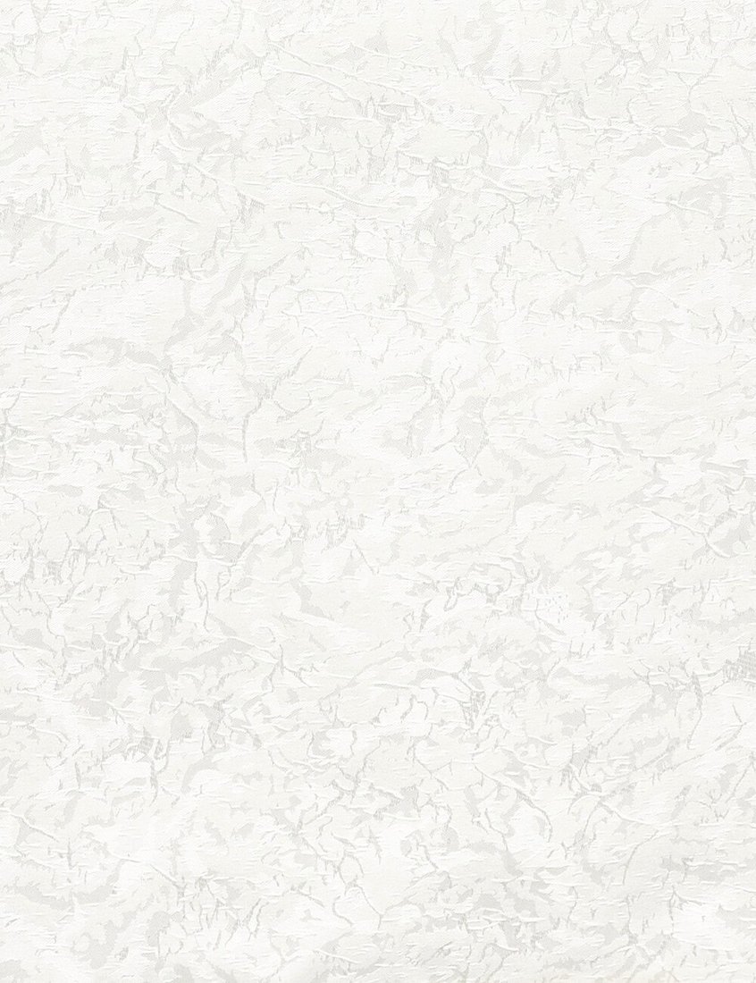 

Рулонные шторы Delfa Жаккард СРШ 03Д 79505 70x170 (белый, рисунок венеция)