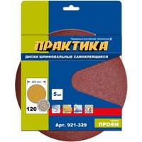 Набор шлифлистов Практика Профи 921-329 (5 шт)