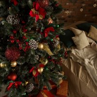 Ель Erbis Anna с белыми кончиками 120