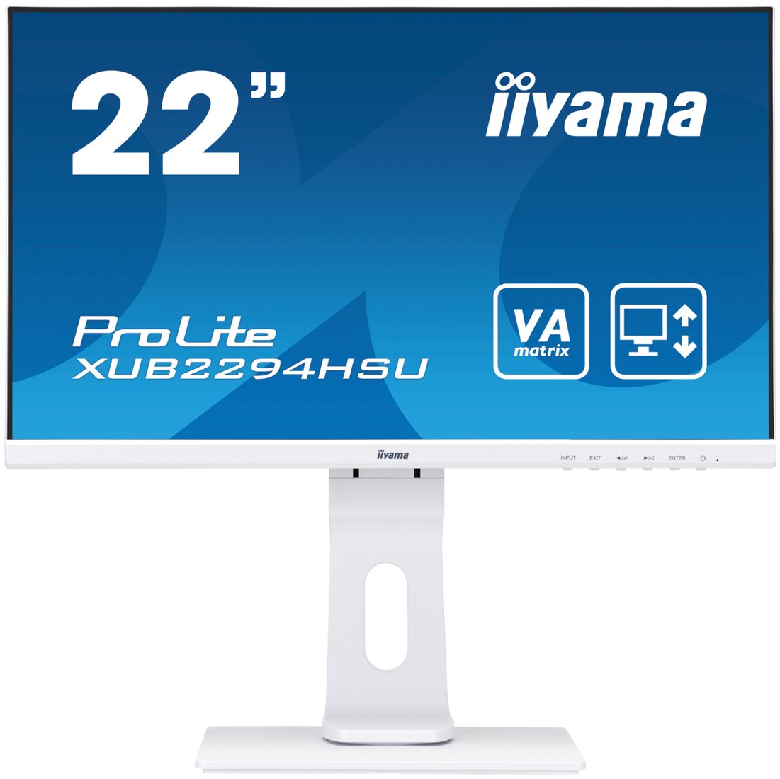 

Монитор Iiyama ProLite XUB2294HSU-W1