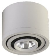 

Точечный светильник Favourite Reflector 1774-1C