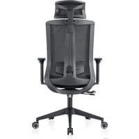 Офисное кресло Evolution ERGO BLISS Black (черный)