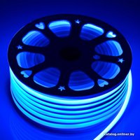 Гибкий неон ЭРА N2835-120-IP67-220V-20m-B