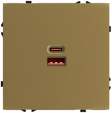 Розетка USB Forkel F70 19735 (золотой)