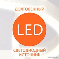 Подвесная люстра Евросвет 50210/1 LED (хром)