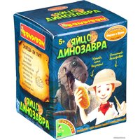Набор для опытов Bondibon Исторические раскопки Науки с Буки. Яйцо динозавра ВВ4781