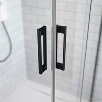 Душевая дверь Radaway Idea Black DWD 170