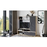 Стенка Трия Сиена (дуб сонома/графит серый) в Гомеле