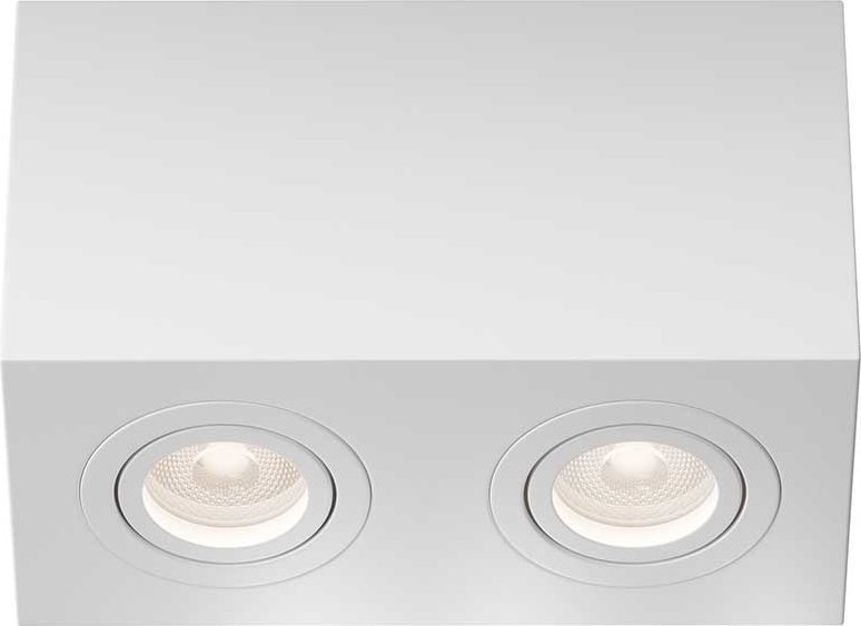 

Точечный светильник Maytoni Technical Atom C017CL-02W