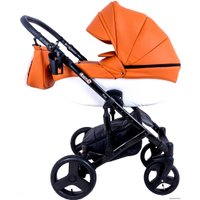 Универсальная коляска Ray Corsa Ecco (2 в 1, 24)