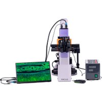 Микроскоп Magus Lum VD500 LCD 83021