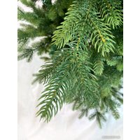 Ель GreenTerra Ванкувер 1.5 м