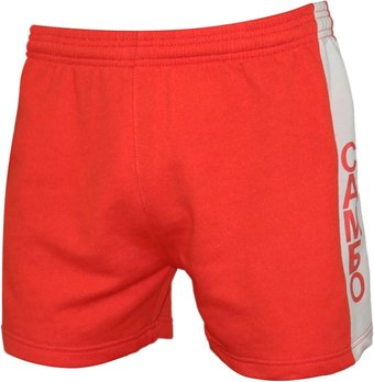 Шорты Рэй-Спорт Самбо 140 (красный)