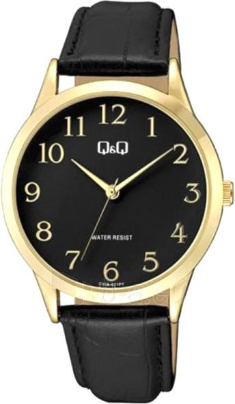 

Наручные часы Q&Q C10AJ021Y