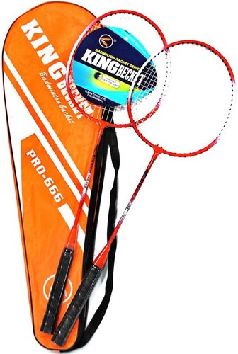 Теннис/бадминтон Zez Sport 666-1