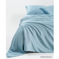 2-спальный комплект постельного белья GoodNight Essential 2 368199 (голубой)