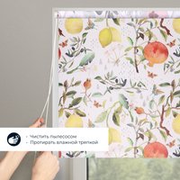 Рулонные шторы Franc Gardiner Print Фрукты 50x160 9403217485 (мультиколор)