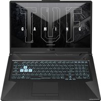 Игровой ноутбук ASUS TUF Gaming F17 FX706HEB-HX116T