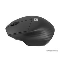 Мышь Natec Siskin 2 (черный)