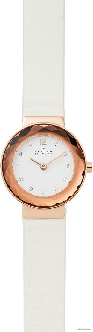 Наручные часы Skagen SKW2769
