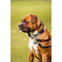 Недоуздок Halti Optifit Headcollar L (черный)