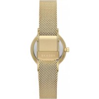 Наручные часы Skagen SKW3110