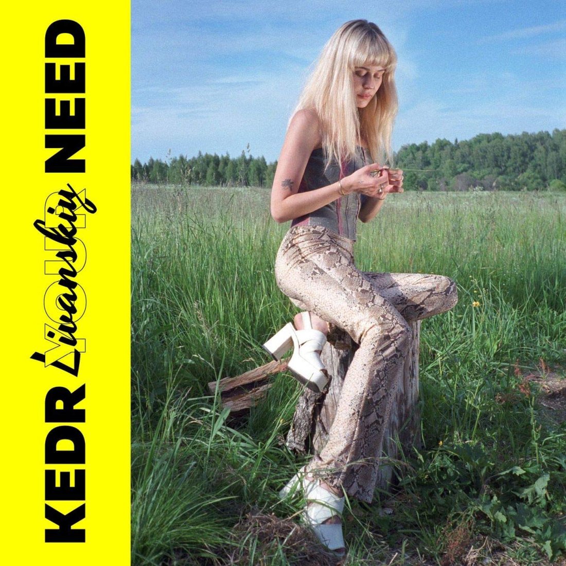 

Виниловая пластинка Kedr Livanskiy ‎- Your Need