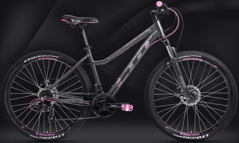 Велосипед LTD Lira 730 2021 (серый)