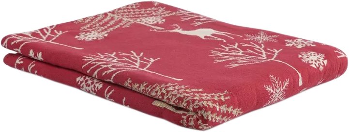 

Плед Tkano New Year Essential TK22-TH0005 (Winter fairytale)
