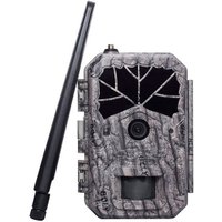 Фотоловушка BolyGuard BG636-48M