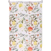 Рулонные шторы Franc Gardiner Print Фрукты 50x160 9403217485 (мультиколор)