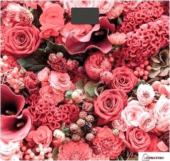 

Напольные весы HomeStar HS-6001L