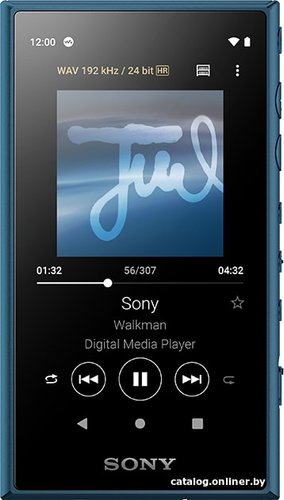 Sony Walkman NW-A105 (синий)