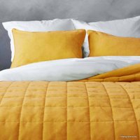 Покрывало Pasionaria Софт 160x220 с наволочками (желтый)